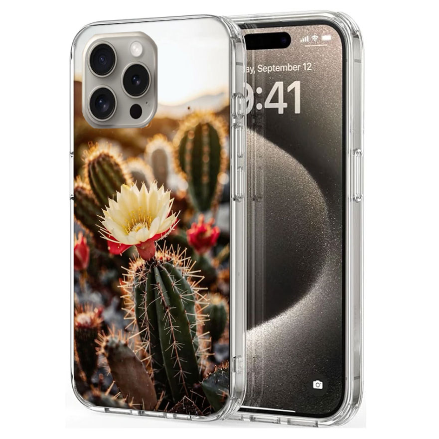 Picturesque Desert With Cacti  – обзор и цена Phone Cases Com